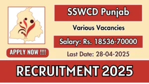 SSWCD Punjab Programme Manager Recruitment 2025