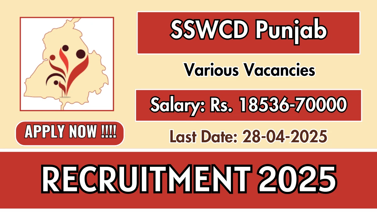 SSWCD Punjab Programme Manager Recruitment 2025